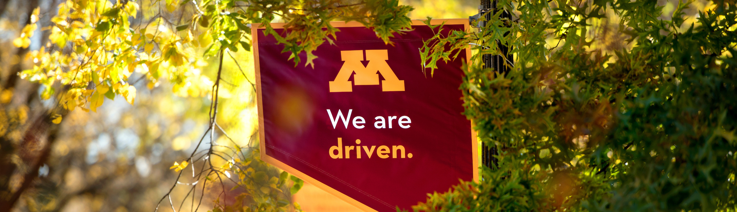 This is a photo of a UMN banner on campus that says "We Are Driven"