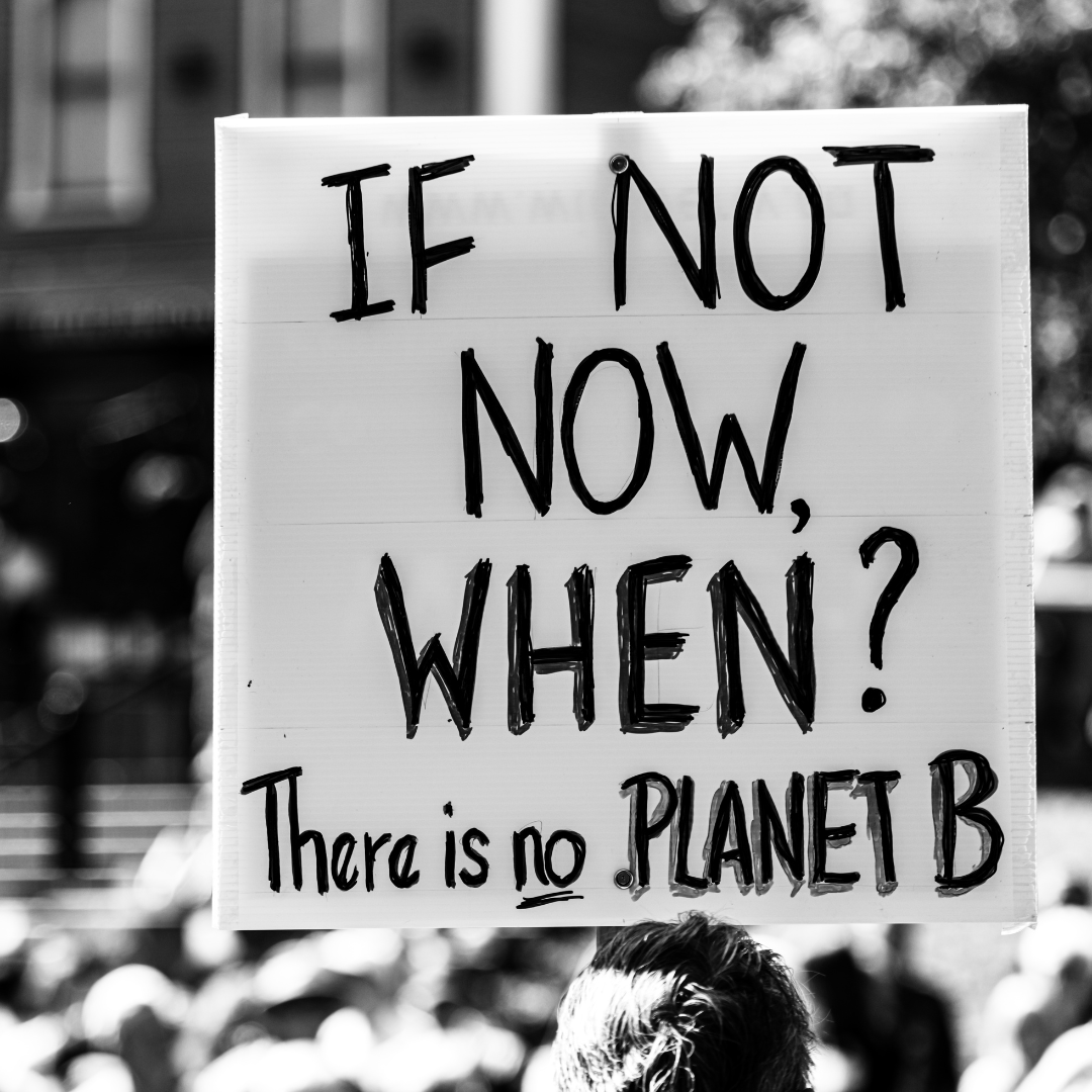 Black and white image of a protest sign reading "if not now, when? There is no Planet B"
