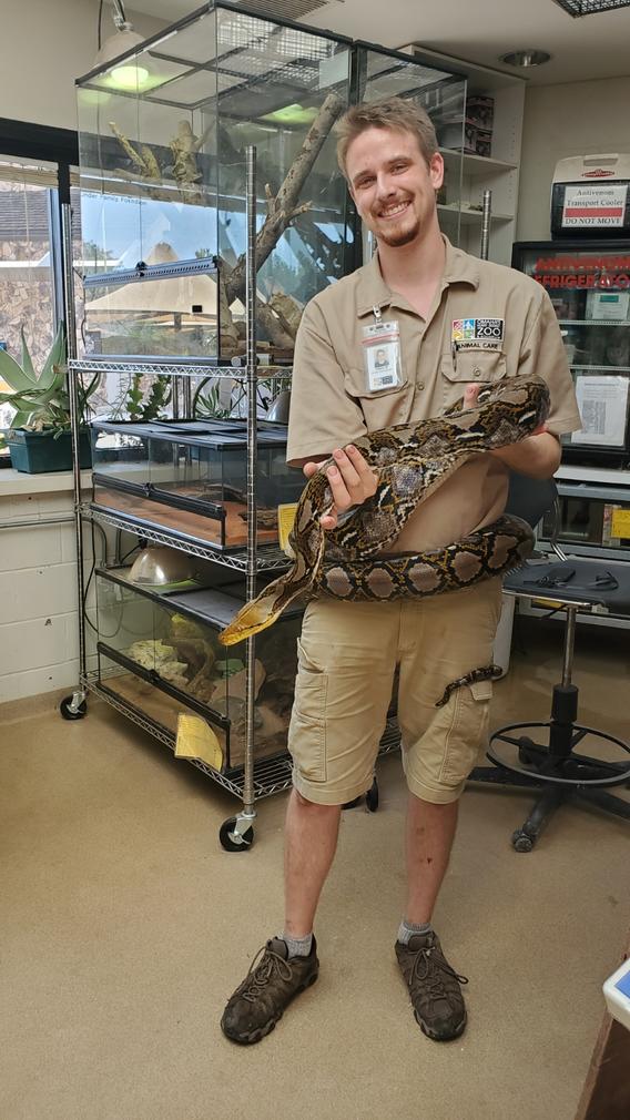 Man holding a large python.